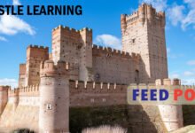 Castle Learning