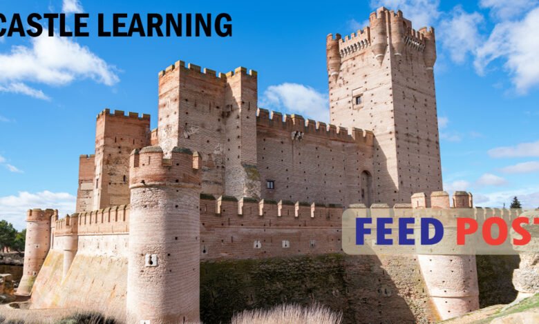 Castle Learning